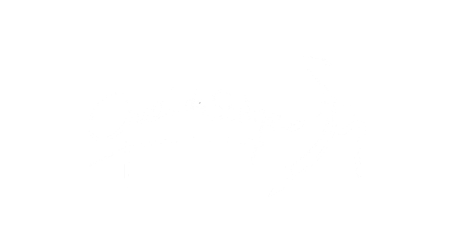 QUAI DE SCENE logo blanc - ARTITUDE Communication